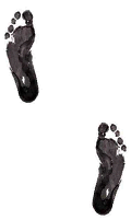 Does your footprint look like this?